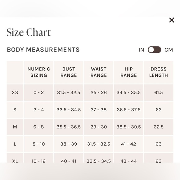 NWT Birdy Grey Jane Convertible Dress Chiffon Taupe Sz L - Picture 7 of 8